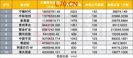 取代中际旭创，宁王重登主动基金头号重仓股