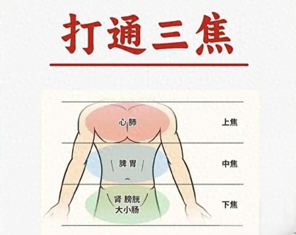 三焦不通, 百病丛生! 看懂症状, 按对穴位、灸对地方全身通畅