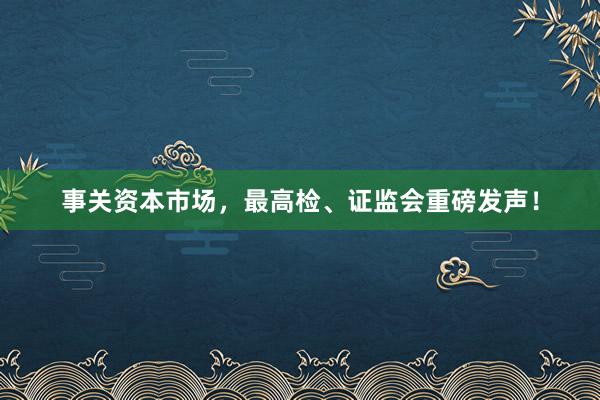 事关资本市场，最高检、证监会重磅发声！