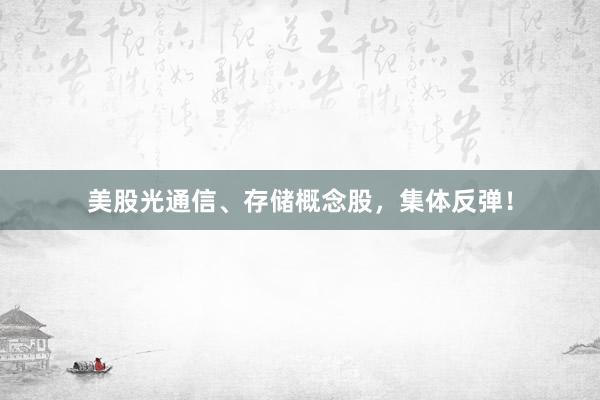 美股光通信、存储概念股，集体反弹！