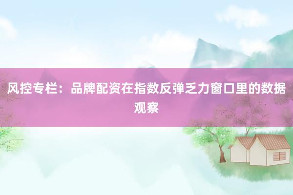 风控专栏：品牌配资在指数反弹乏力窗口里的数据观察