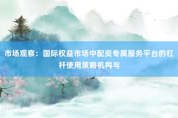 市场观察：国际权益市场中配资专属服务平台的杠杆使用策略机构与