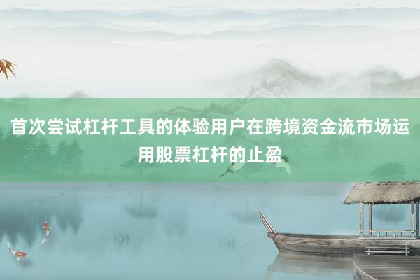 首次尝试杠杆工具的体验用户在跨境资金流市场运用股票杠杆的止盈
