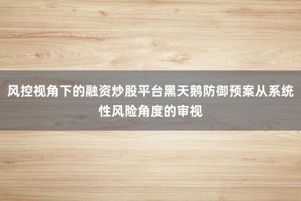 风控视角下的融资炒股平台黑天鹅防御预案从系统性风险角度的审视