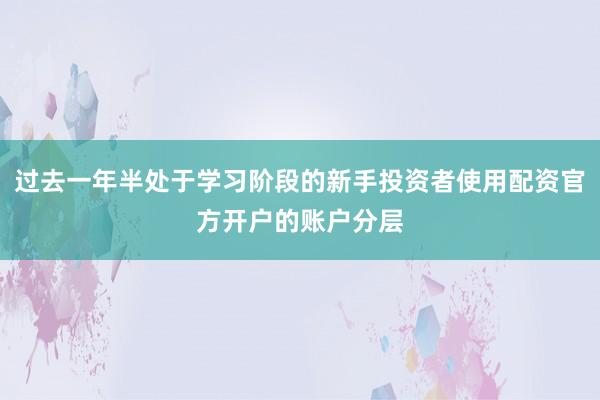 过去一年半处于学习阶段的新手投资者使用配资官方开户的账户分层