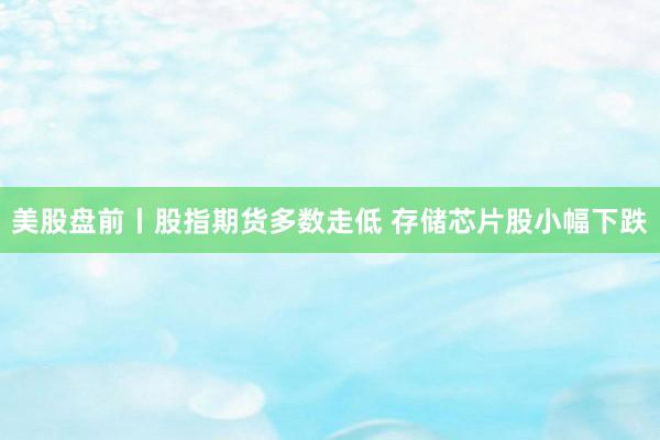 美股盘前丨股指期货多数走低 存储芯片股小幅下跌