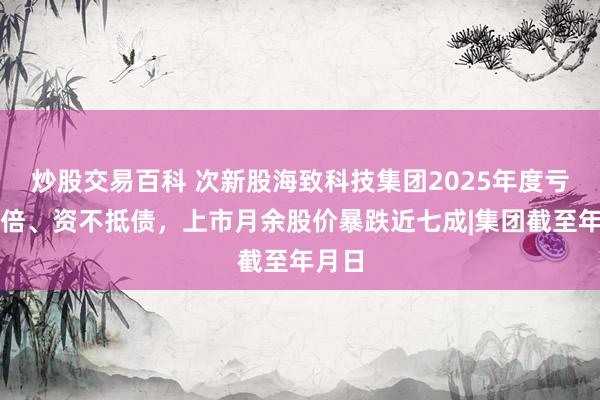 炒股交易百科 次新股海致科技集团2025年度亏损翻倍、资不抵债，上市月余股价暴跌近七成|集团截至年月日