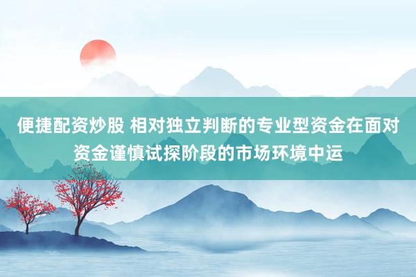 便捷配资炒股 相对独立判断的专业型资金在面对资金谨慎试探阶段的市场环境中运